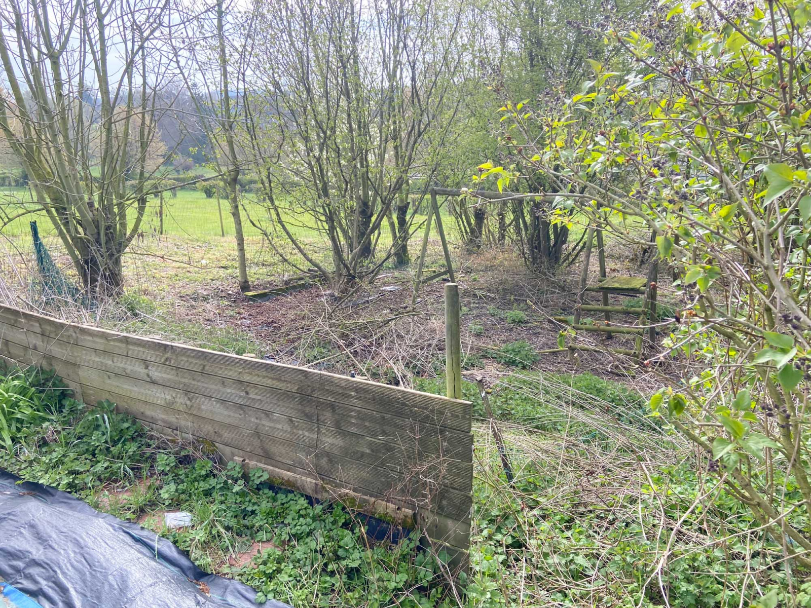 Image_, Maison, Ferrière-la-Petite, ref :AT460-9429