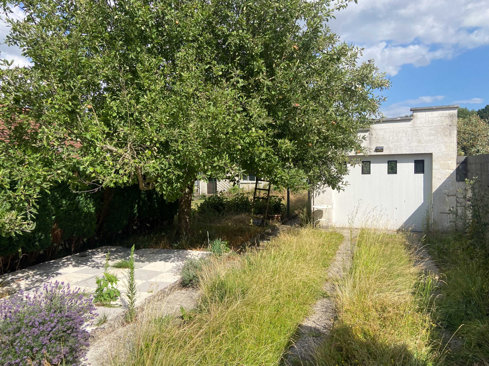 Image_, Maison, Rousies, ref :AT460-9198