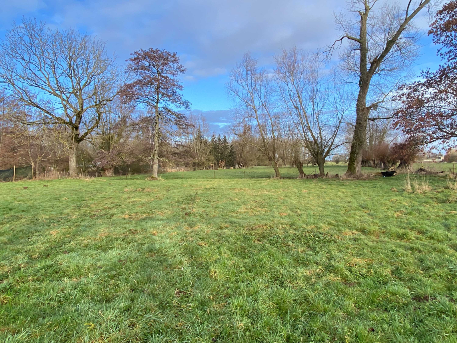 Image_, Maison, Vieux-Reng, ref :AT460-9375