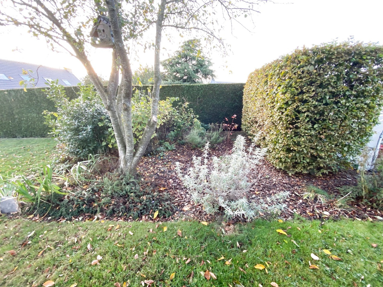 Image_, Maison, Cerfontaine, ref :AT460-9297