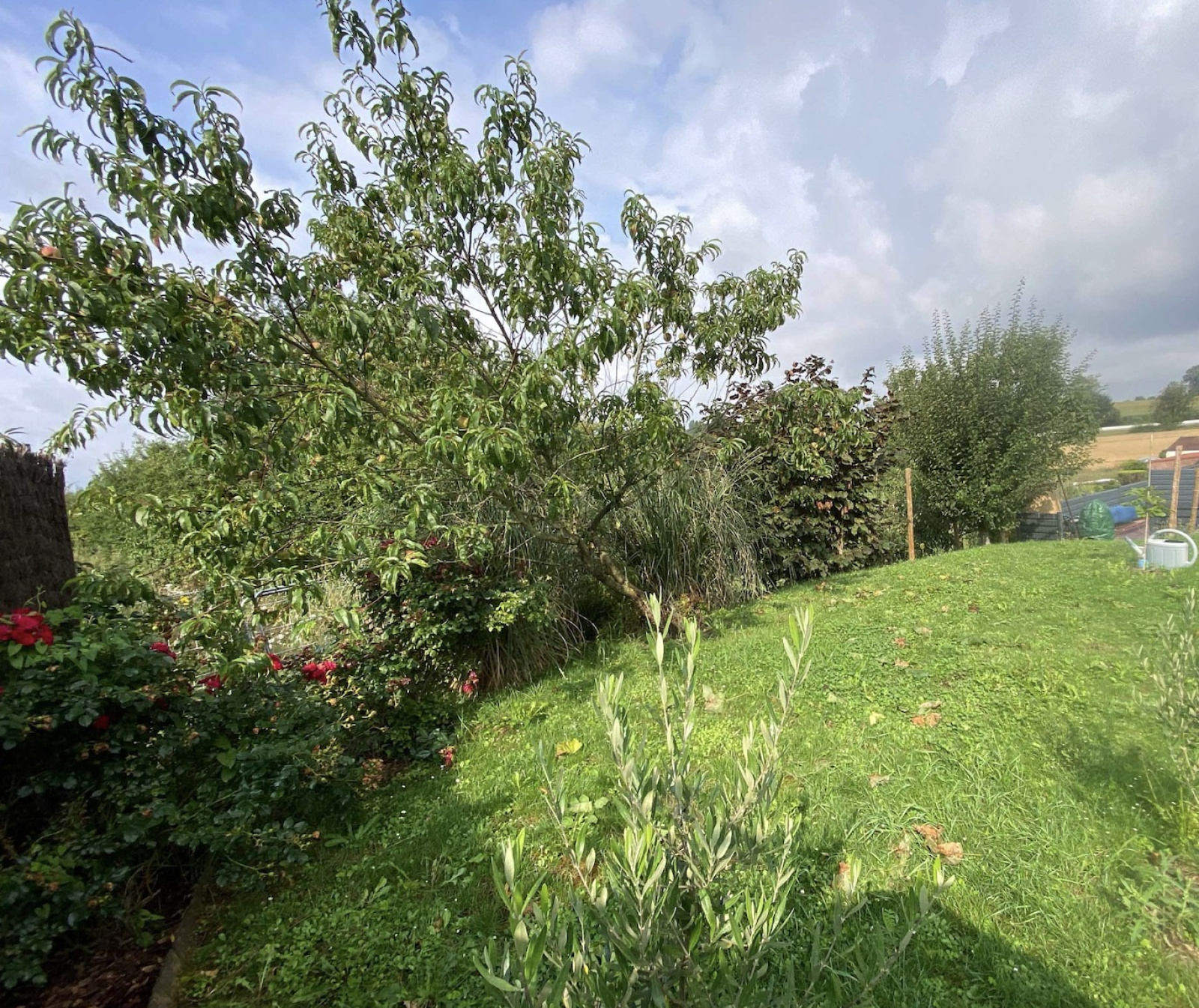 Image_, Maison, Jeumont, ref :AT460-9210