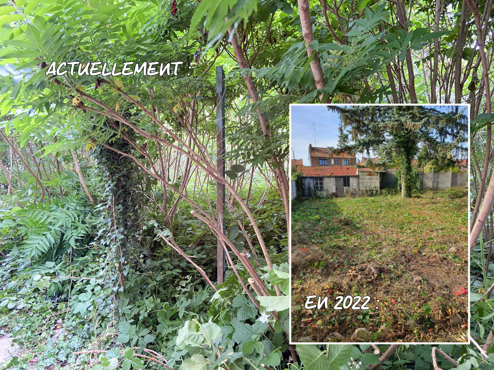 Image_, Maison, Jeumont, ref :AT460-9567