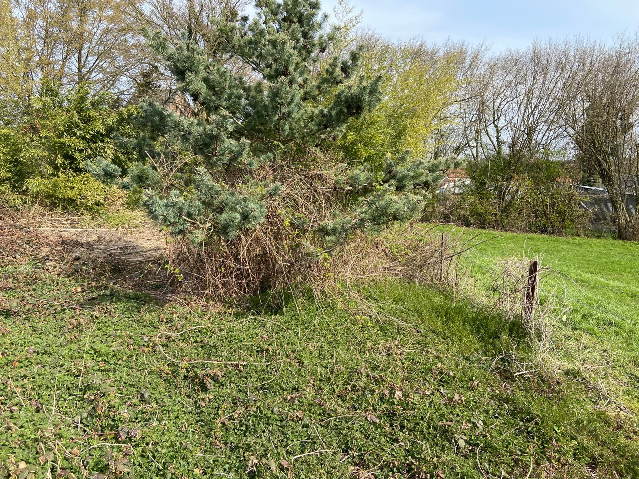 Troisième photo